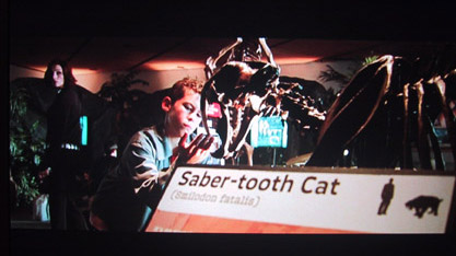 ... Saber-tooth Cat ...