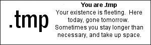 You are .tmp  Your existence is fleeting.  Here today, gone tomorrow....