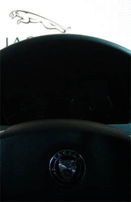 Jaguarprojektion aus dem Inneren eines Jaguars heraus fotografiert